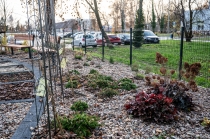 Urz�d Miejski w Wolsztynie