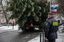 Urz�d Miejski w Wolsztynie