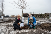 Urz�d Miejski w Wolsztynie