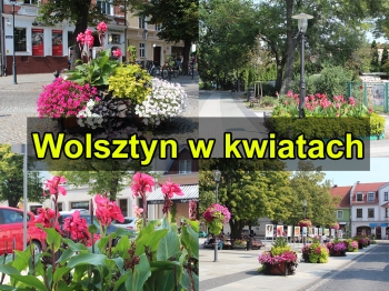 Urzd Miejski w Wolsztynie